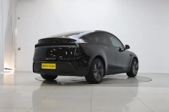 Model Y 2026 Model Long Battery Life Pro Rear-wheel drive version – фото 7