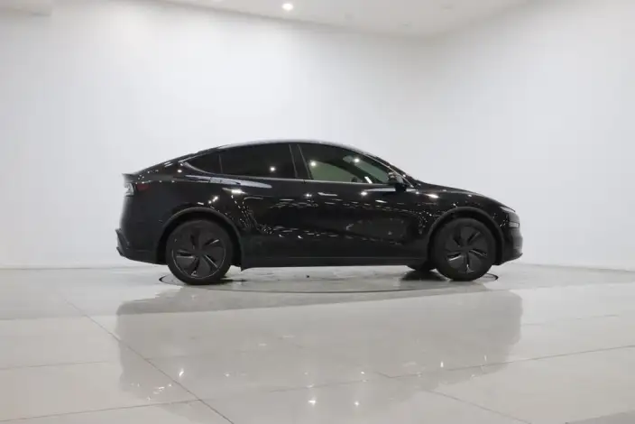 Model Y 2026 Model Long Battery Life Pro Rear-wheel drive version – фото 8