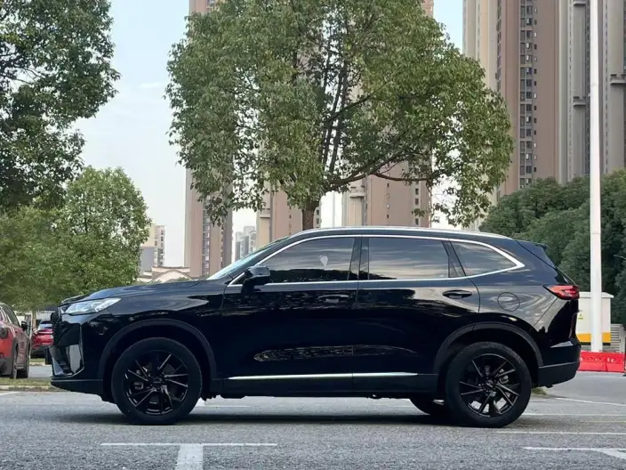Haval H6 2021 Model Third generation 2.0T Automatic 4WD Max Edition
