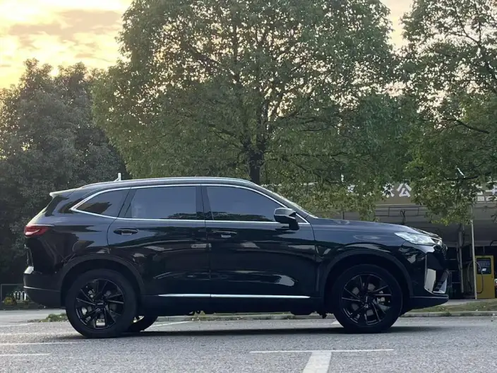 Haval H6 2021 Model Third generation 2.0T Automatic 4WD Max Edition – фото 8
