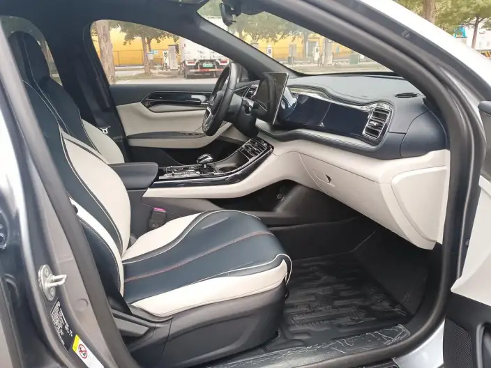 Qin Plus EV 2021 Model 500KM Noble Model – фото 7