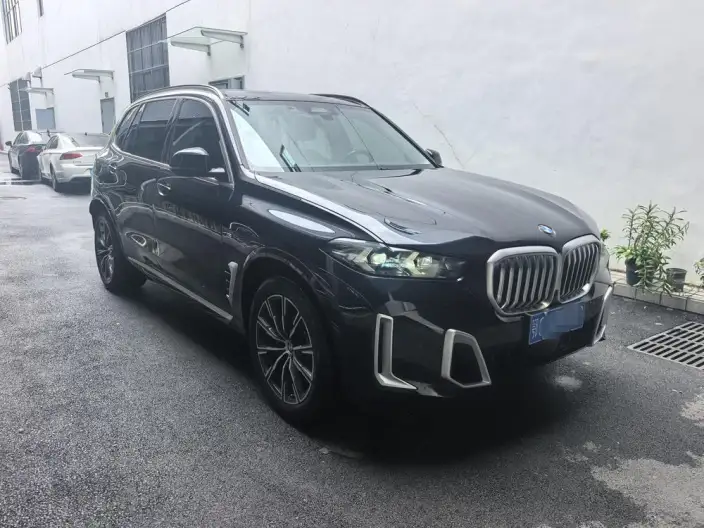 BMW X5 2023 Model xDrive30Li M Sports Set