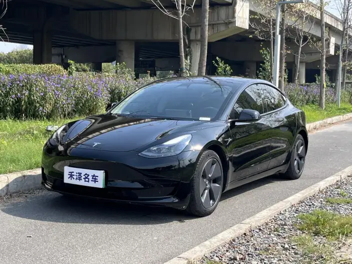 Model 3 2022 Model Rear-wheel drive version – фото 1