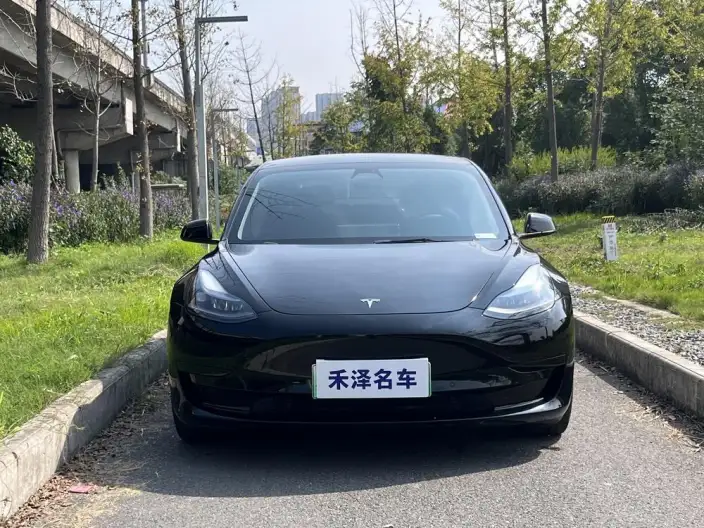 Model 3 2022 Model Rear-wheel drive version – фото 2