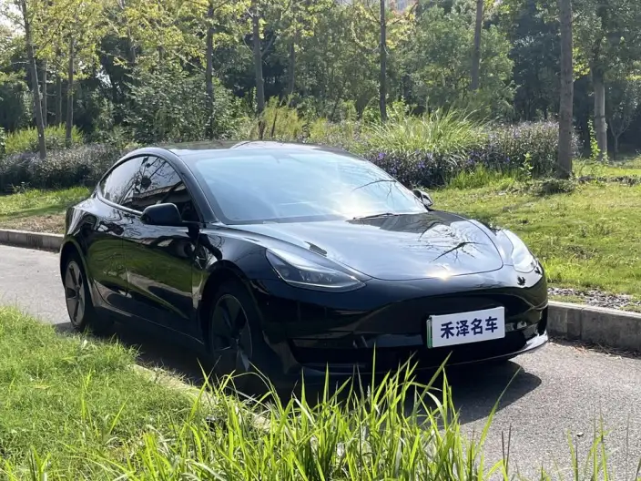 Model 3 2022 Model Rear-wheel drive version – фото 3
