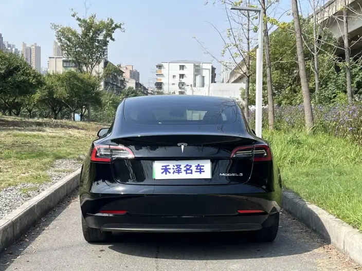 Model 3 2022 Model Rear-wheel drive version – фото 5