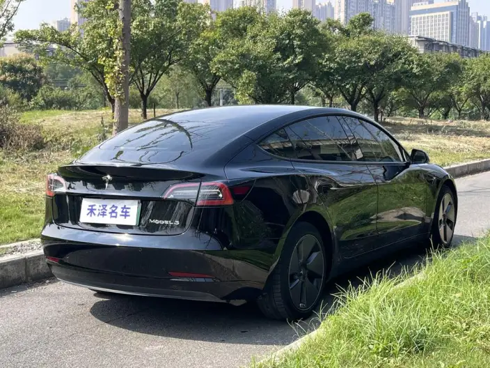 Model 3 2022 Model Rear-wheel drive version – фото 6