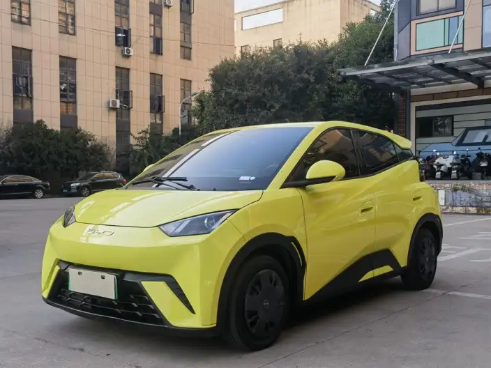 BYD Seagull 2023 Model Vitality Edition