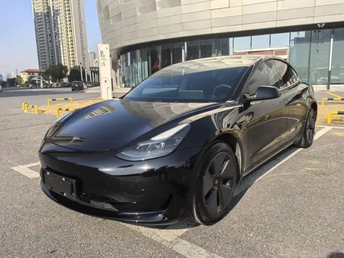 Model 3 2022 Model Rear-wheel drive version – фото 1