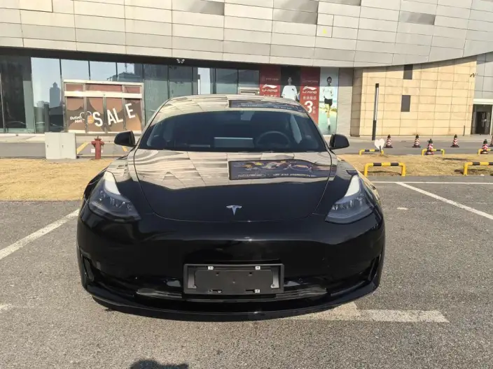 Model 3 2022 Model Rear-wheel drive version – фото 2
