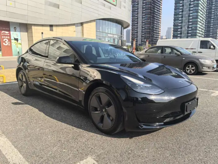 Model 3 2022 Model Rear-wheel drive version – фото 3