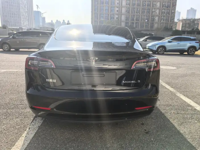 Model 3 2022 Model Rear-wheel drive version – фото 5