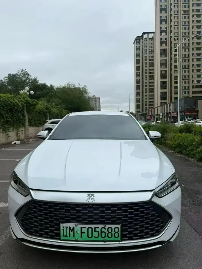 BYD Qin PLUS DM 2023 Model DM-i Champion Edition 55KM Leading Model – фото 2