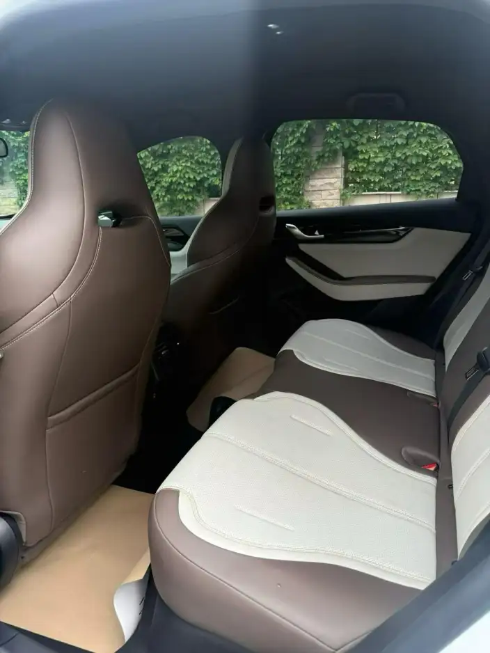 BYD Qin PLUS DM 2023 Model DM-i Champion Edition 55KM Leading Model – фото 9