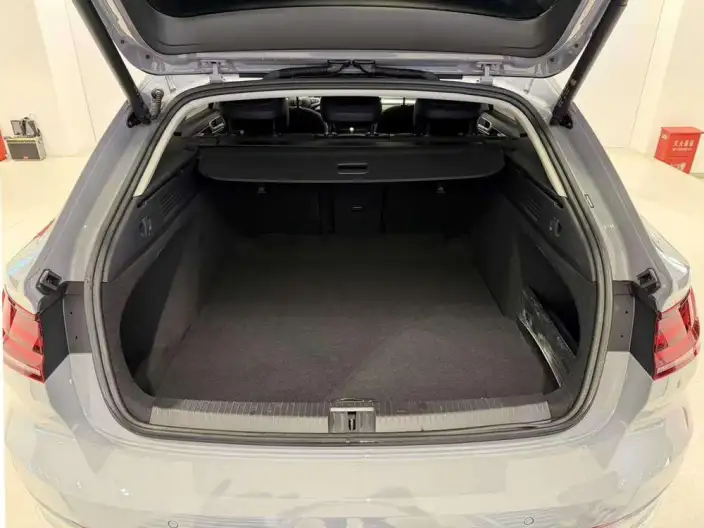 Volkswagen CC 2023 Model Hunting vehicle 380TSI Hunting Heart Edition – фото 10