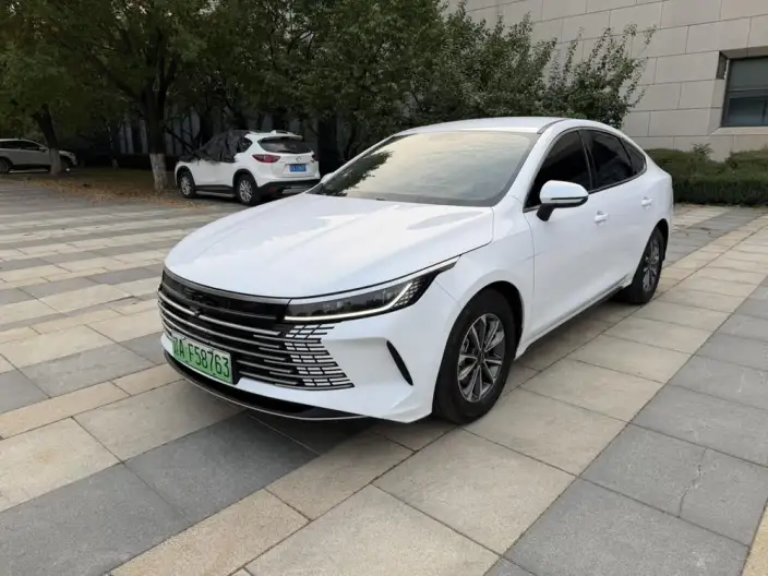 BYD Destroyer 05 2024 Model Honor Edition DM-i 55KM Luxury Model – фото 1
