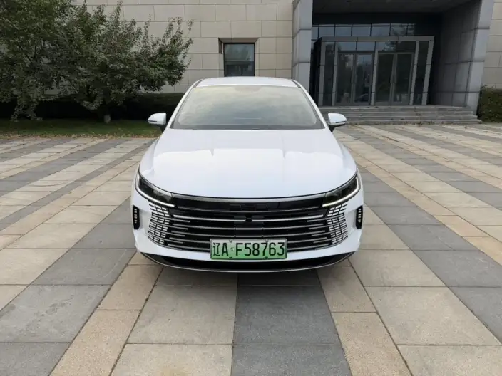 BYD Destroyer 05 2024 Model Honor Edition DM-i 55KM Luxury Model – фото 2