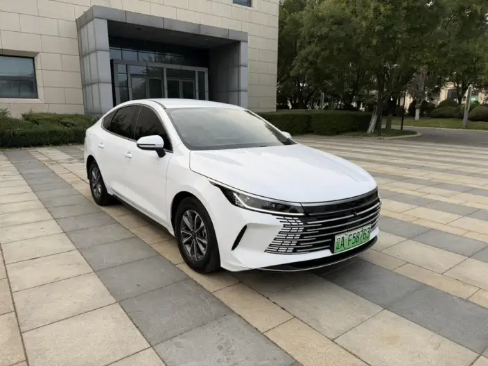 BYD Destroyer 05 2024 Model Honor Edition DM-i 55KM Luxury Model – фото 3