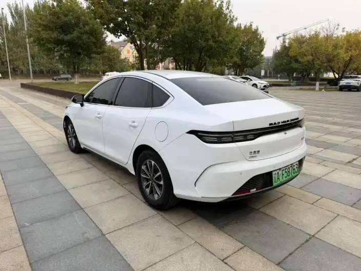 BYD Destroyer 05 2024 Model Honor Edition DM-i 55KM Luxury Model – фото 4