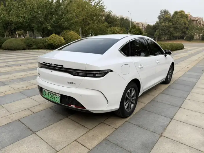 BYD Destroyer 05 2024 Model Honor Edition DM-i 55KM Luxury Model – фото 5