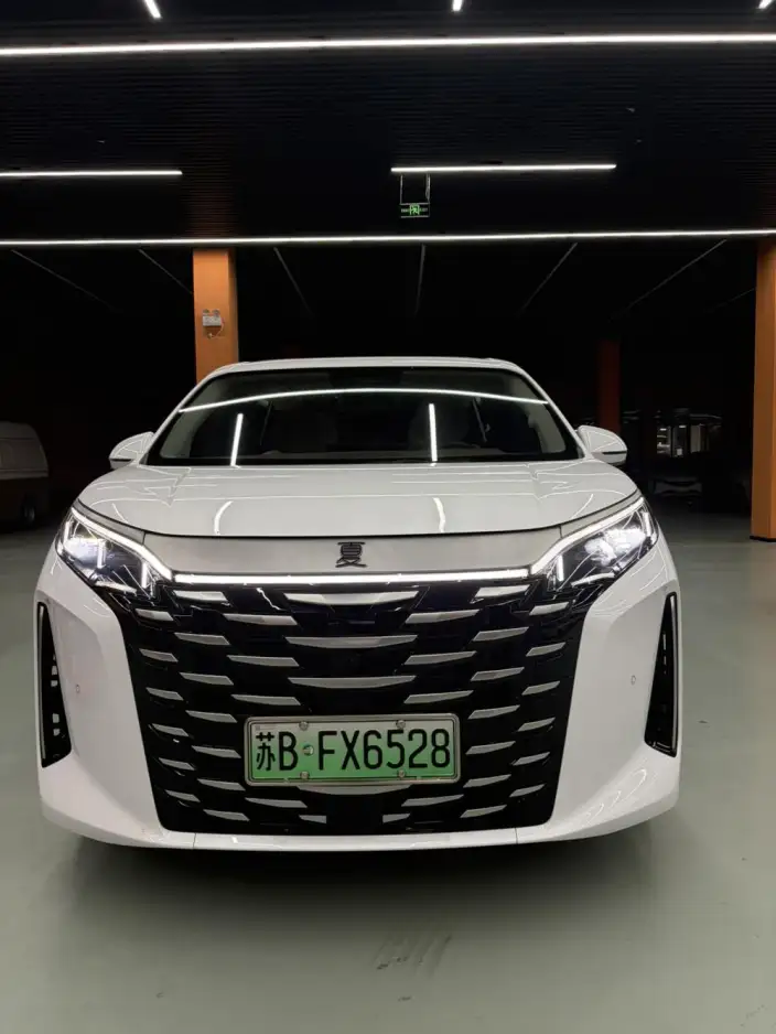 Xia 2025 Model DM-i 180KM Excellence Model – фото 2