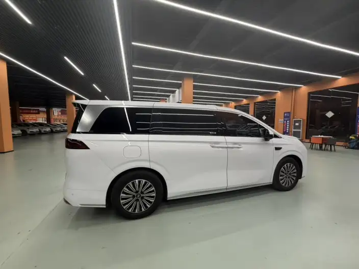 Xia 2025 Model DM-i 180KM Excellence Model – фото 6