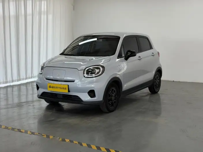 Leapmotor T03 2023 Model 310 Light Edition