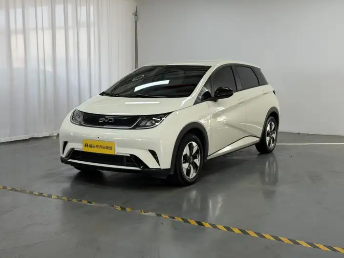 BYD Dolphin 2025 Model 420KM Free Edition – фото 1