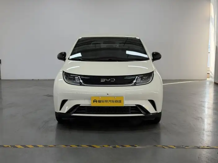 BYD Dolphin 2025 Model 420KM Free Edition – фото 2