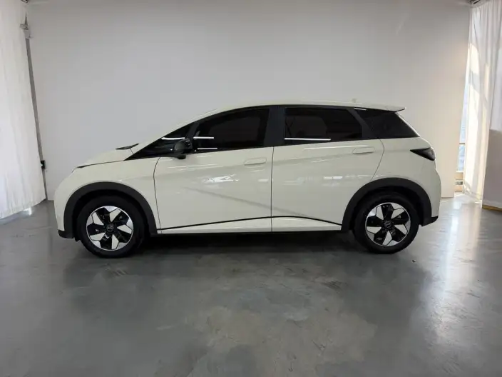 BYD Dolphin 2025 Model 420KM Free Edition – фото 4