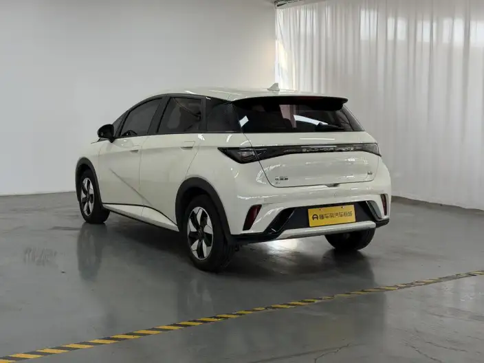 BYD Dolphin 2025 Model 420KM Free Edition – фото 5