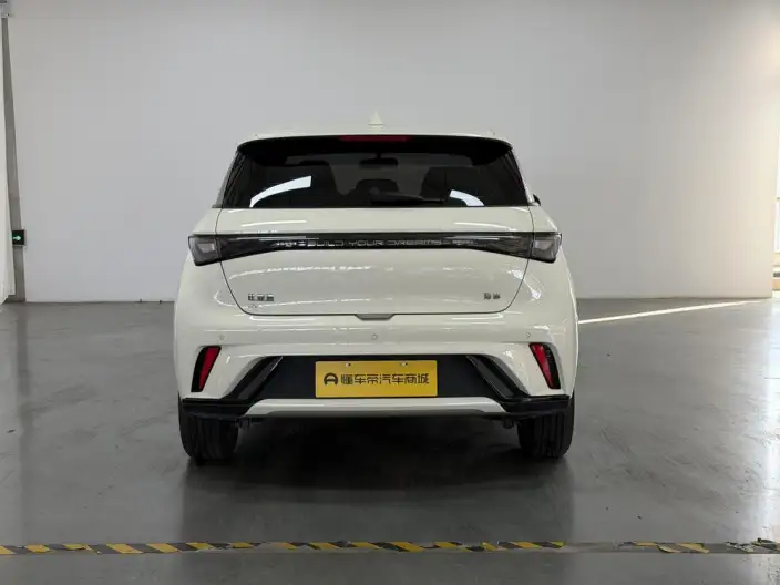 BYD Dolphin 2025 Model 420KM Free Edition – фото 6