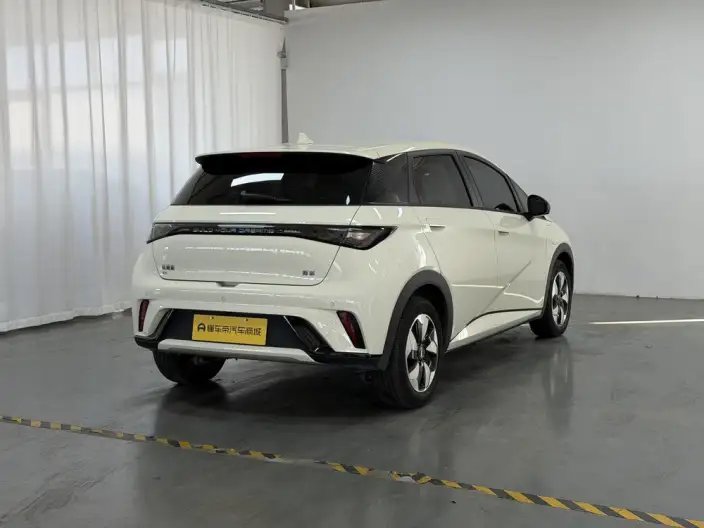 BYD Dolphin 2025 Model 420KM Free Edition – фото 7