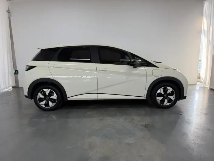 BYD Dolphin 2025 Model 420KM Free Edition – фото 8