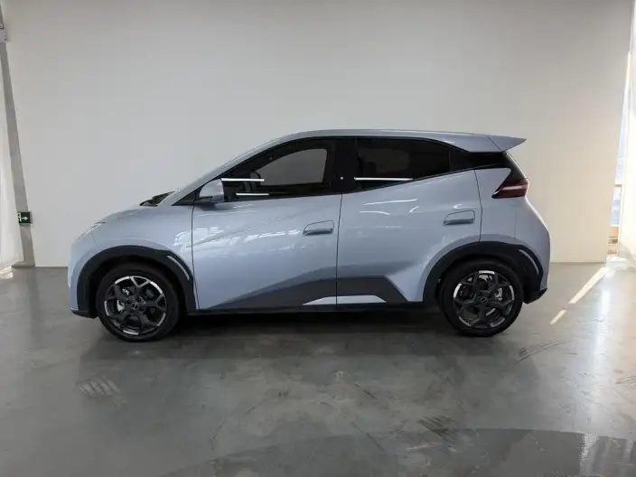 BYD Seagull 2025 Model 305KM Free Edition