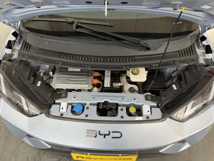 BYD Seagull 2025 Model 305KM Free Edition – фото 10