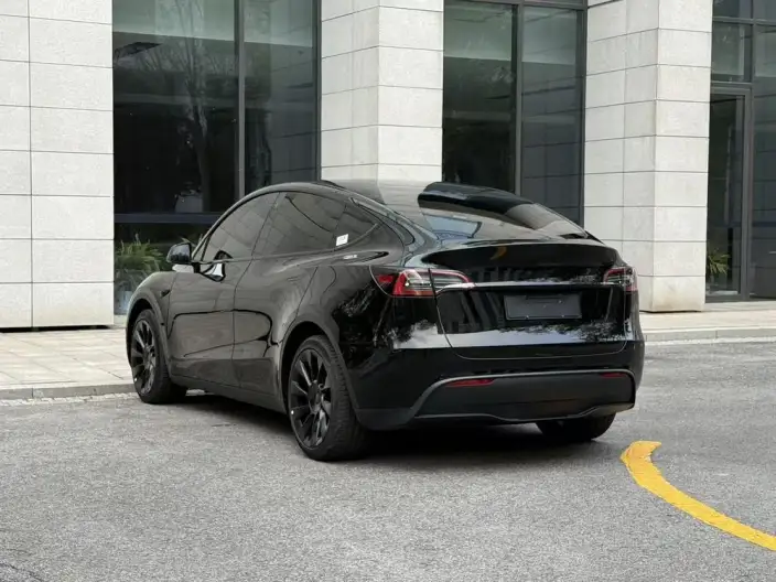 Model Y 2023 Model Rear-wheel drive version – фото 5