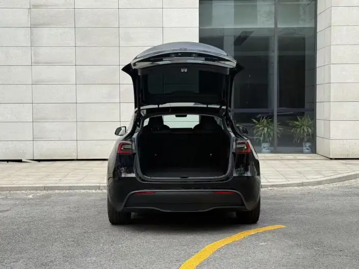 Model Y 2023 Model Rear-wheel drive version – фото 6