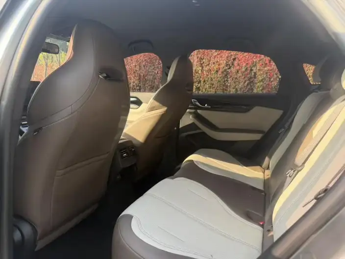 BYD Qin PLUS DM 2023 Model DM-i Champion Edition 55KM Leading Model – фото 9