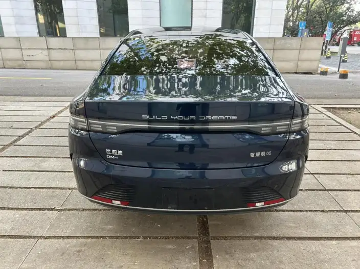 BYD Destroyer 05 2024 Model Honor Edition DM-i 55KM Luxury Model – фото 5