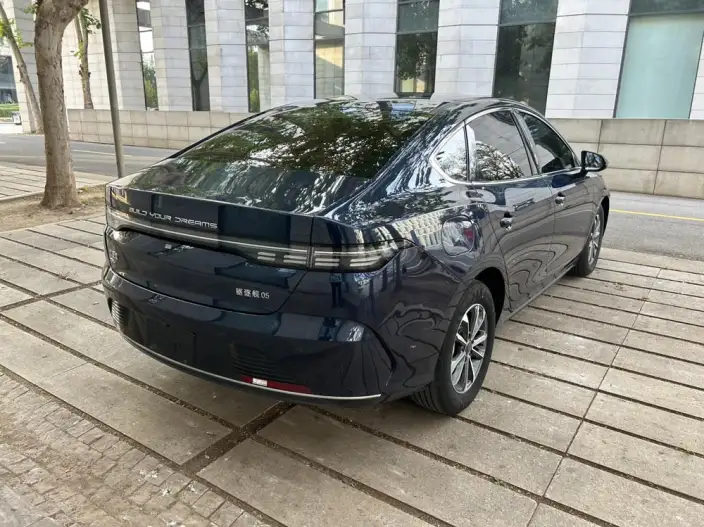 BYD Destroyer 05 2024 Model Honor Edition DM-i 55KM Luxury Model – фото 6
