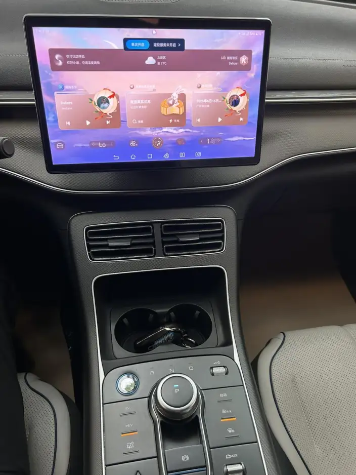 BYD Destroyer 05 2024 Model Honor Edition DM-i 55KM Luxury Model – фото 10