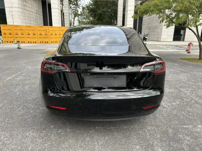 Model 3 2022 Model Rear-wheel drive version – фото 6