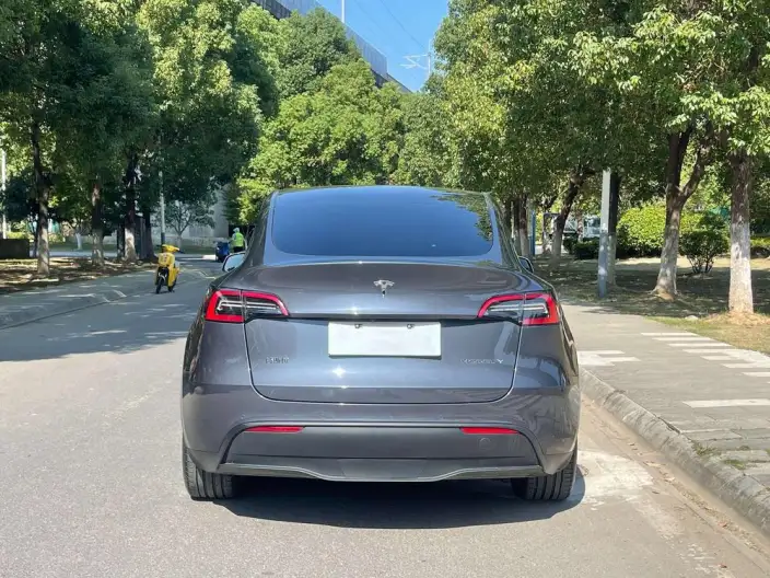 Model Y 2022 Model Rear-wheel drive version – фото 6