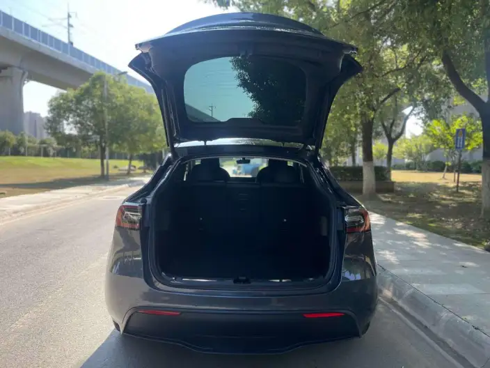Model Y 2022 Model Rear-wheel drive version – фото 8