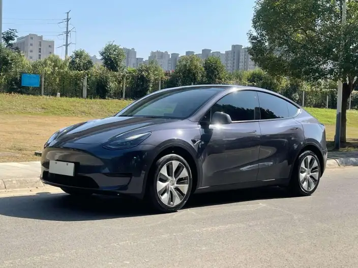 Model Y 2022 Model Rear-wheel drive version – фото 9