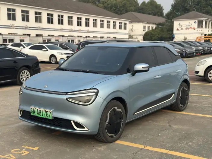 Dongfeng Nano 01 2024 Model 330Plus Smart +