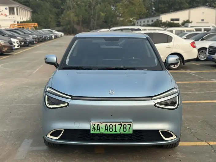 Dongfeng Nano 01 2024 Model 330Plus Smart +
