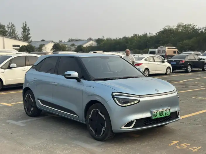 Dongfeng Nano 01 2024 Model 330Plus Smart +