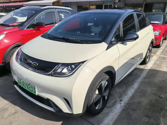 BYD Dolphin 2023 Model Free Edition